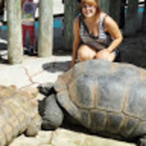 Meet your Posher, Bailey